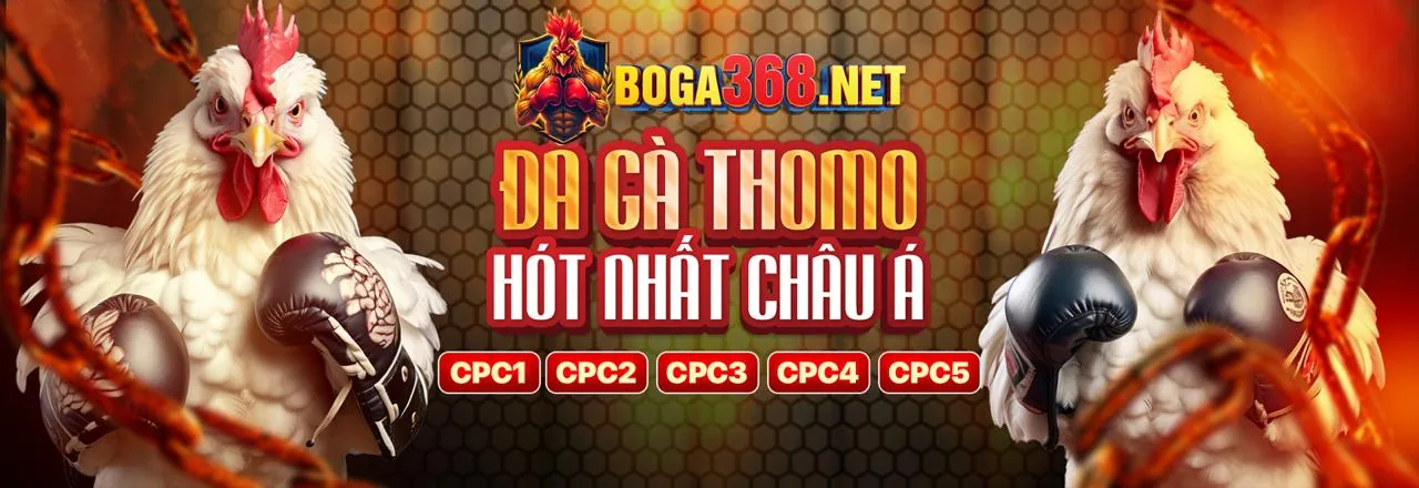 Tổng quan nền tảng xo68